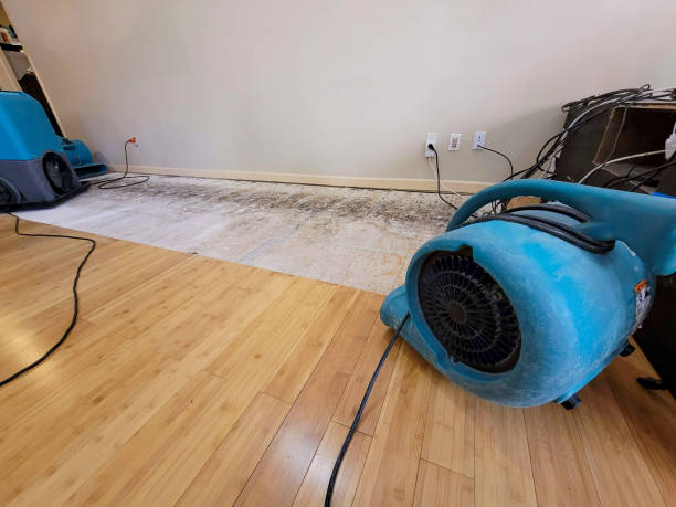 Professional Burst Pipe Water Damage technician working in Joppa, AL